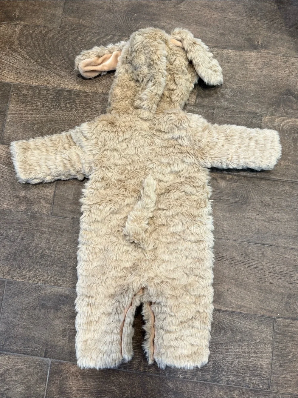 Pottery Barn Puppy Dog Costume Size 0-6 Months in EUC